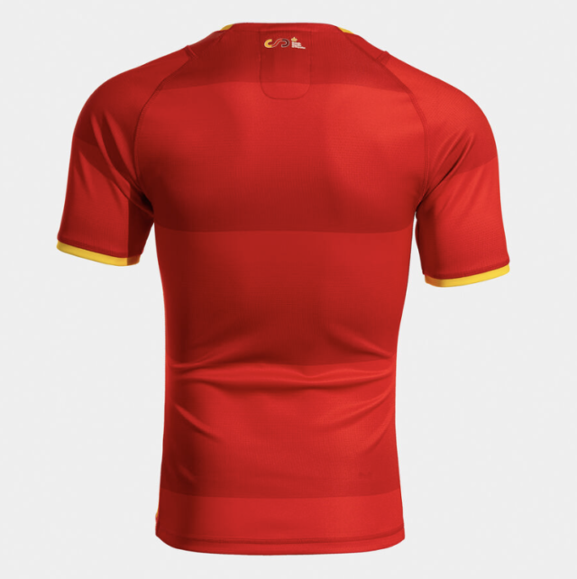 Samarreta Rugby España